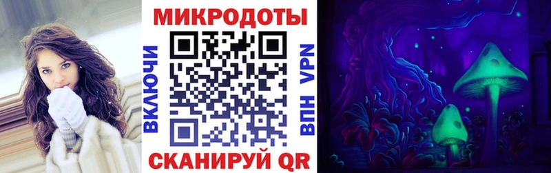Галлюциногенные грибы Psilocybe Спасск-Дальний